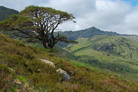 The wilds of Glen Loyne