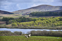 The Pentland Hills